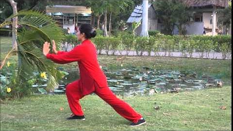 THÁI CỰC QUYỀN 24 thức (CHÂU ĐÀO, Nhóm TAICHI STARS)