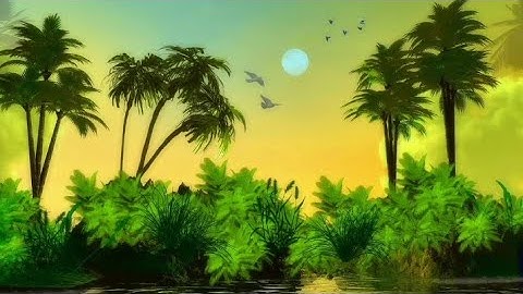 سورة الغاشية من أجمل ما قرأ القارئ نور الدين يوسف