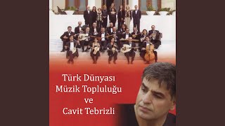Biri Sensen Biri Men - Cavit Tebrizli