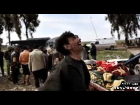 الصمت طول محمد الفارس