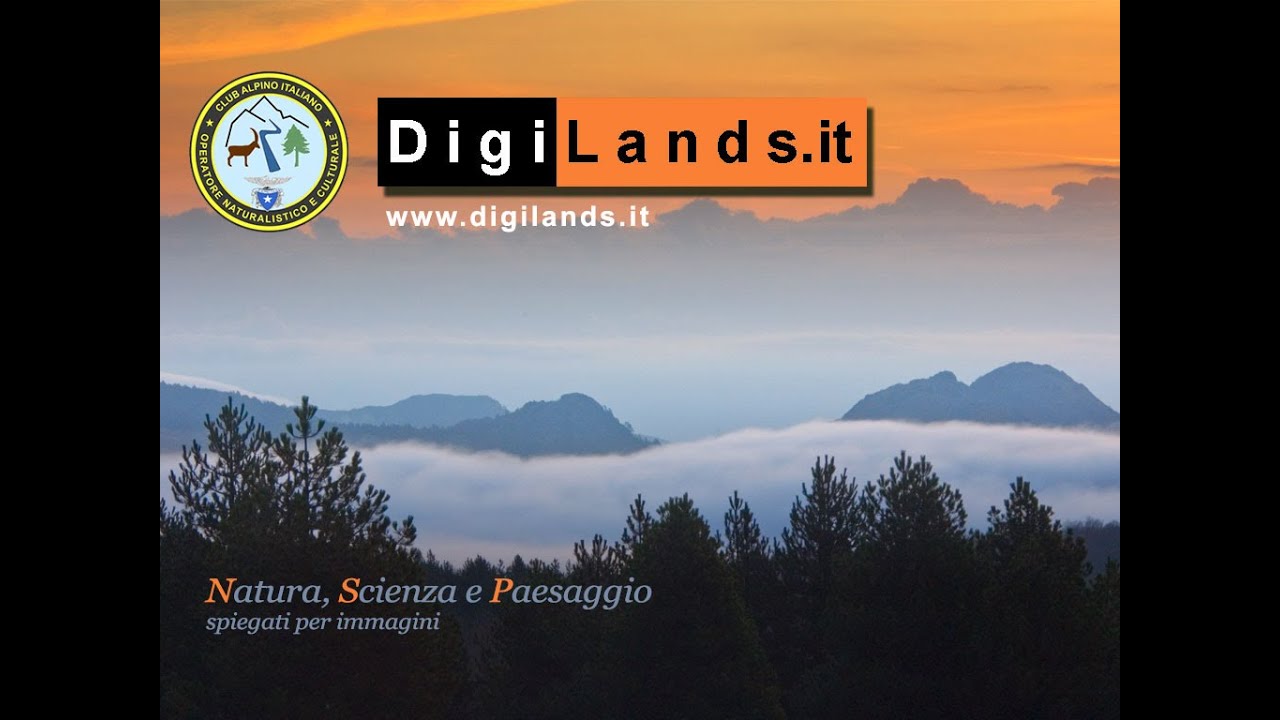 Luigi Boitani: biologia e storia del lupo