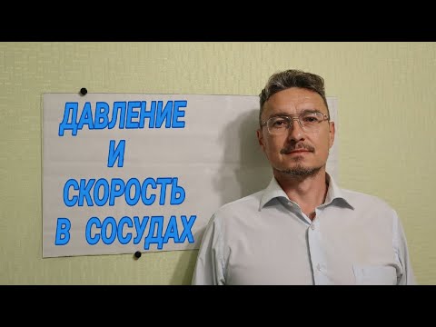 ДАВЛЕНИЕ И СКОРОСТЬ ДВИЖЕНИЯ КРОВИ В СОСУДАХ | биология ЕГЭ ОГЭ