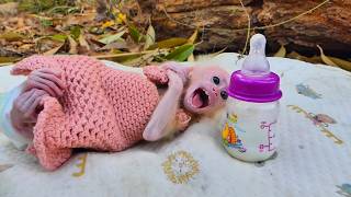 The Baby Monkey Is Very Angry With Its Mother.