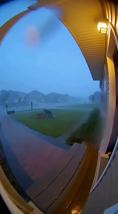 Puppy Laughs at the Storm... Then Everything Changes😱 Caught on Doorbell Cam #RealLifeHero #shorts