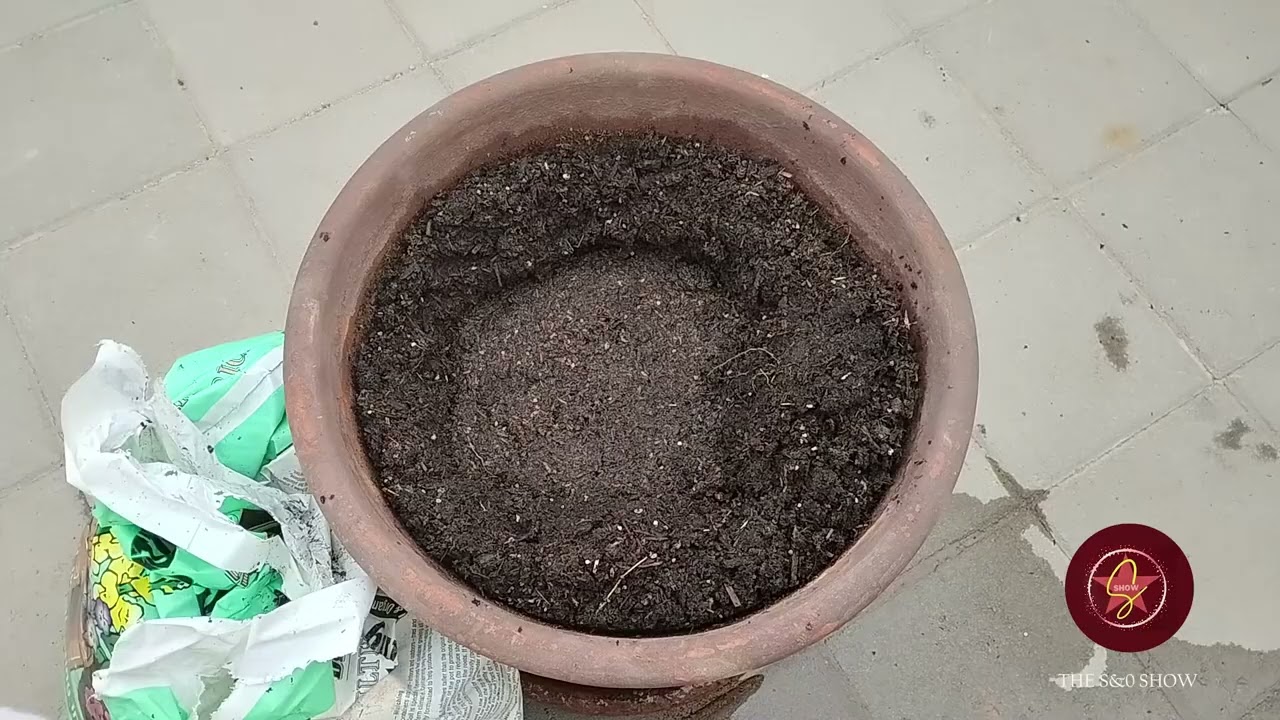 The S&O Show Episode 19 Gardening Journey Pt2