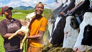 How She Left her Job to become a Full Time Cattle Farmer in Zimbabwe Africa