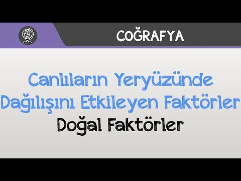 Video: Rüzgar organizmaların dağılımını nasıl etkiler?