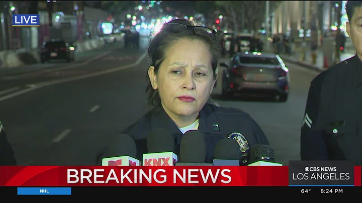 7-year-old among victims stabbed by homeless man in DTLA Target