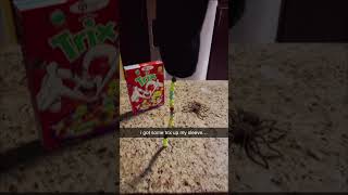 I Got Some Trix Up My Sleeve...