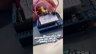 Wechselseitiges Schalten Von Zwei Leds Mit Einem T