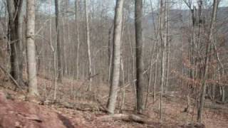 Hinton West Virginia Property for sale