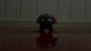 Enjoy DIY Ladybug
