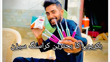 AD3E & Selevit ka istamal 🐐