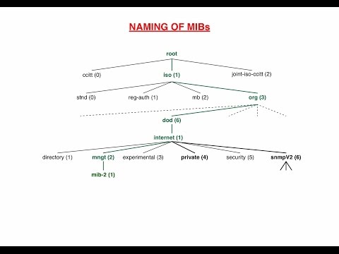 Introduction to SNMP MIBs