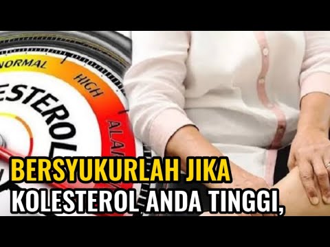 Manfaat Kolesterol Untuk Tubuh