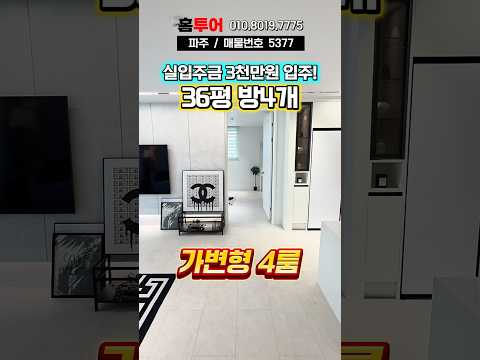 36평 가변형 4룸 ! 실입주금 3천만원 입주 고급주택 #부동산 #파주신축빌라 #파주내집마련 #파주2억대빌라