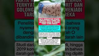 Golongan Darah O Ternyata Paling Disukai Nyamuk? Fakta Ini Bikin Merinding!