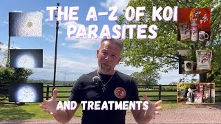 The A-Z of Koi Parasites & How I Treat them 