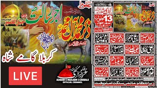 Live Bramadagi Zuljana Zakir Ali Raza Khokar Karbala Gamay Shah 13 June 2021