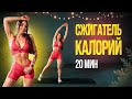 Похудеть к Новому Году - Лучший Сжигатель Калорий с Быстрым Эффектом!