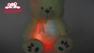 Cuddle Barn - Nite Brite Pals - Cuddles the Cub