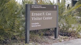 Welcome to the Everglades: A Message from AIRIE Board Member T. Robertson Carter