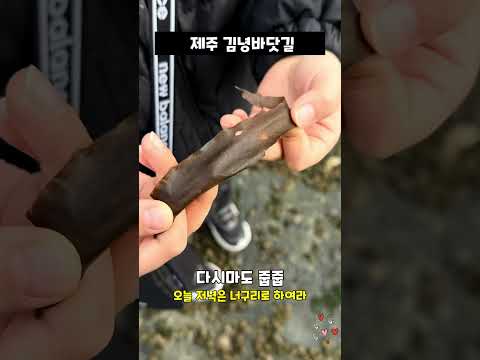 폭싹속았수다 촬영지 김녕바닷길 물때 확인 필수 #제주여행 #여행 #제주도여행 #김녕여행 #김녕해수욕장  #김녕바닷길물때 #폭싹속았수다 #폭싹속았수다촬영지 #김녕바닷길 #김녕떠오르길