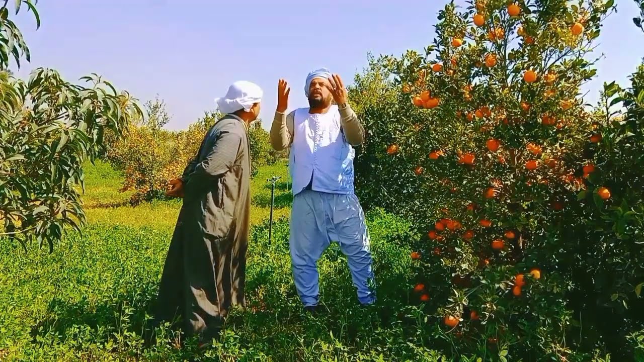 لما صعيدي يشغل دماغة