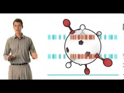 What Reimage Is, & How it Fixes Your Slow Computer What Reimage Is, & How it Fixes Your Slow Computer