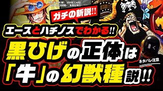 Blackbeard S True Identity Is A Phantom Behemoth Theory Ace Can Tell Us One Piece Theory Youtube