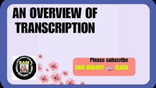 AN OVERVIEW OF TRANSCRIPTION @ SAM BIOLOGY 🧫 CLASS.