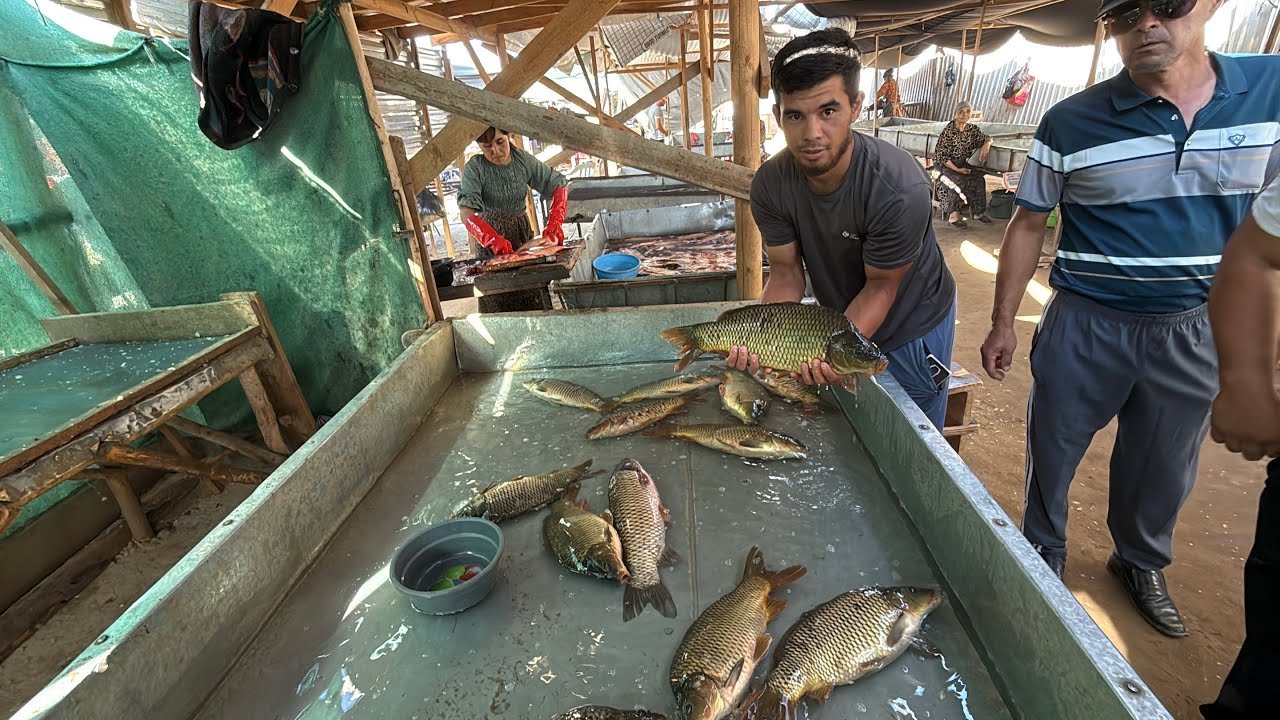 ХОРАЗМ ХАЗОРАСП БАЛИК БОЗОР НАРХИ 26 ИЮЛЬ 2025