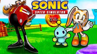 Sonic Speed Simulator News & Leaks! 🎃 on X: HOW CAN YOU GET