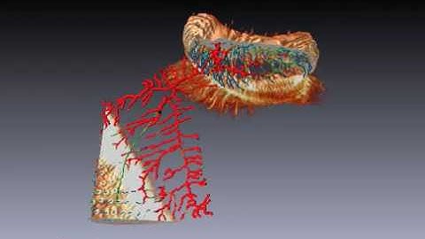 Amira | 3D visualization and analysis | 3D Reconstruction of a Neuron