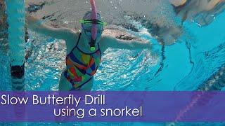 Butterfly Drill | Straight Arm Recovery with Strong Pull screenshot 4