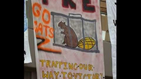 Wayne State College TKE Rush Video