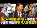 習近平缺席金磚會議