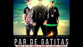 Par de Gatitas Farruko Ft Gadiel Ñengo Flow