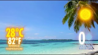 Maldives Weather - When is the best time to travel to the Maldives