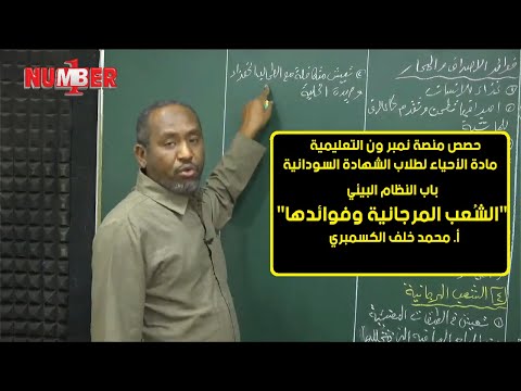 فيديو: ما هي الشعاب المرجانية الآمنة؟