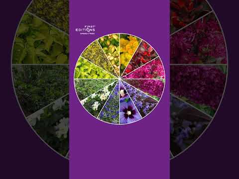 Landscape Design Tip Triad Landscape Design Tip Triad