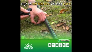 HƯỚNG DẪN CẮM BÉC CHÂN 7MM VÀO ỐNG LDPE BẰNG CÂY ĐỤC LỖ  #bimiagri #bimiagrivietnam #ongldpe