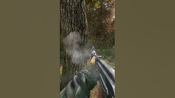 When DayZ decides to Reload to your 1 bullet Mag - Plate Saved my terrible aim