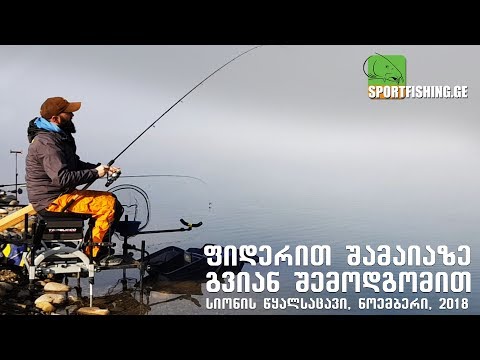 ფიდერით შამაიაზე გვიან შემოდგომით