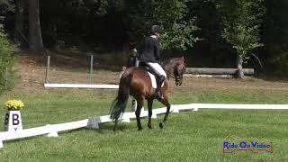 137D Parker Wheeler on Into the Mystic Open Training Dressage Aspen Farms September 2019