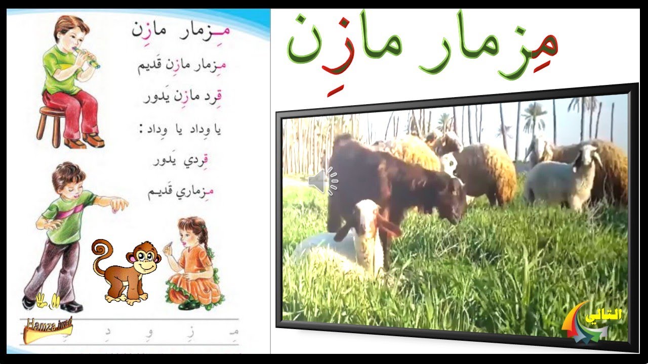 (12)  مزمار مازن / سلسلة القراءة المقطعية للصف الاول .