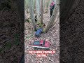 4 Wheel steering on an RC Crawler gets it through #rcrockcrawler #rcoffroad