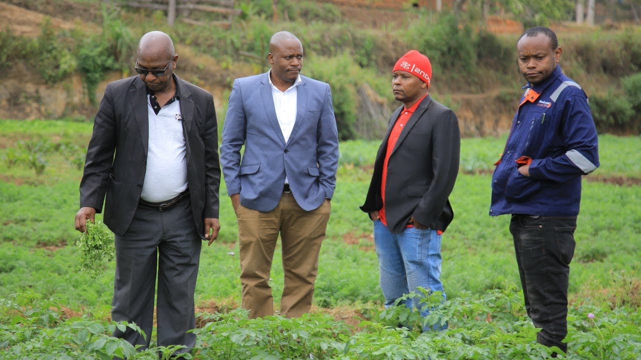 Mapinduzi ya kilimo cha Mboga na Matunda Lushoto yavunja Rekodi