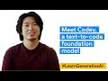 Meet codey a texttocode foundation model  learngenerativeai with google