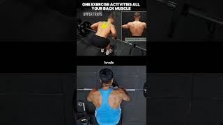 jeff nippard defict pendlay row #backday #jeffnippard #rows